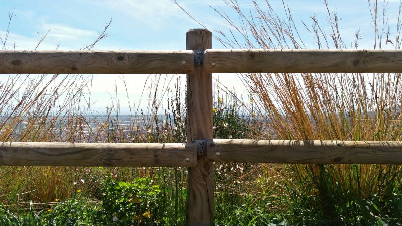 Ranch Style Wooden Fence